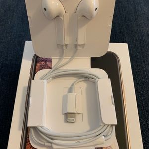 Apple Earphones